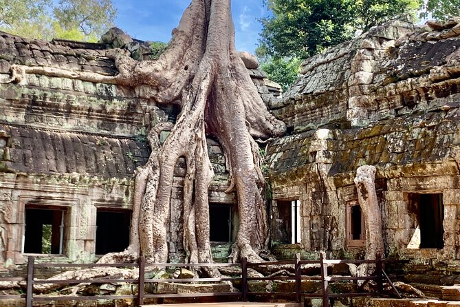 Angkor Wat Small Circuit & Sunset Tour - Ta Keo gives you a short climb