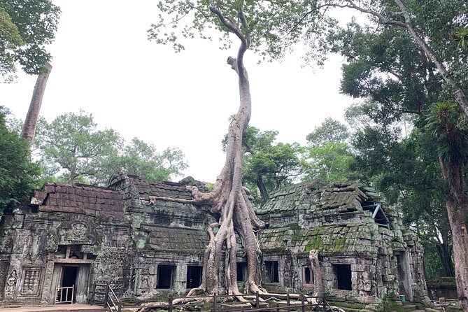 Angkor Wat Small Circuit & Sunset Tour - Sunset is the day’s final reward