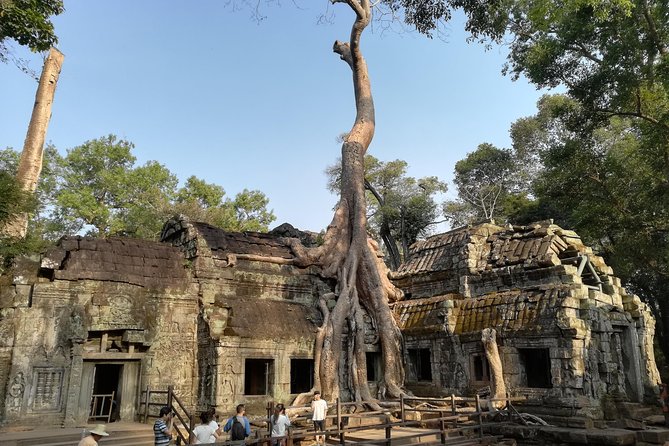 Angkor Wat Small Circuit Tour - Why this small circuit works for a first day