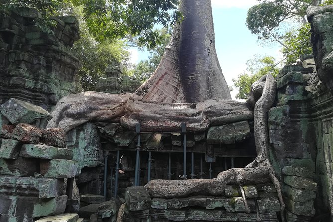 Angkor Wat Small Circuit Tour - Ta Prohm: the atmospheric stop with a movie connection