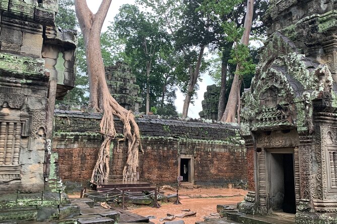 Angkor Wat Small Circuit Tour - What the guide adds to the day