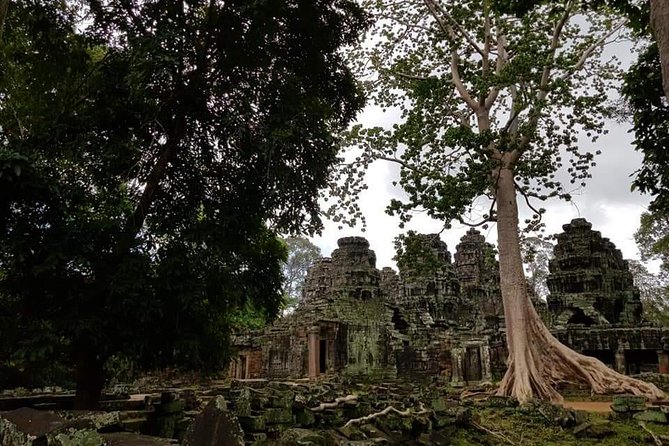 Angkor Wat Small Circuit Tour - The real price: $84.44 before food