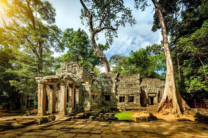 Angkor Wat Small-Group Exploration with Expert Guide - Ta Prohm: roots, ruins, and a different mood
