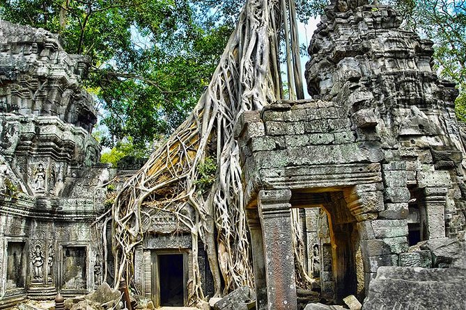 Angkor Wat Small-Group Exploration with Expert Guide - Who should book this Angkor tour?