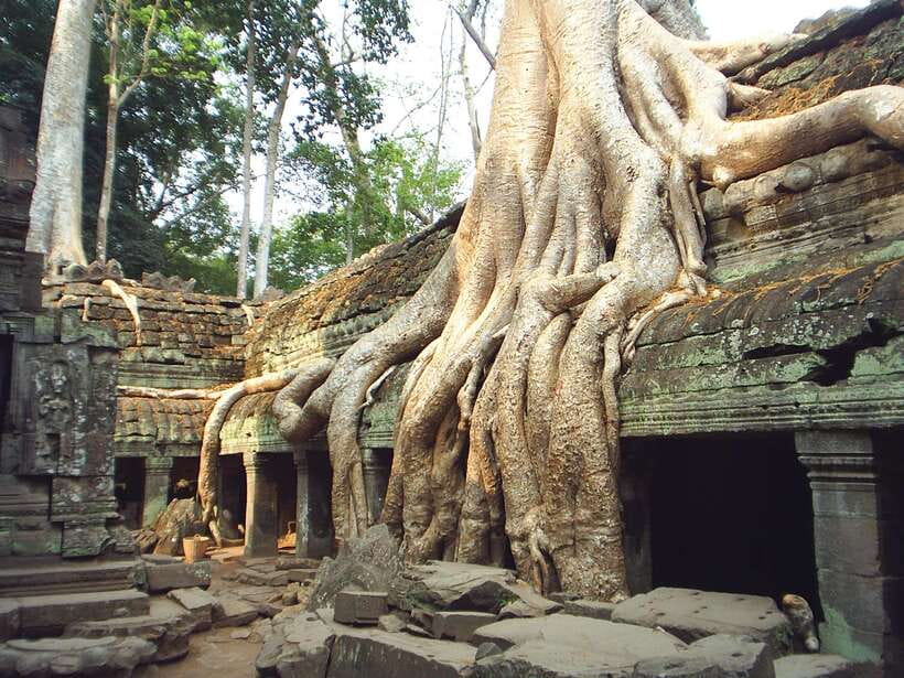 Angkor Wat: Small-Group Tour with Balloon Ride and Lunch - Angkor Wat, where scale meets detail