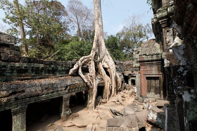 Angkor Wat & Small Tour with Bonteay Srei Temples - Is $38 good value?