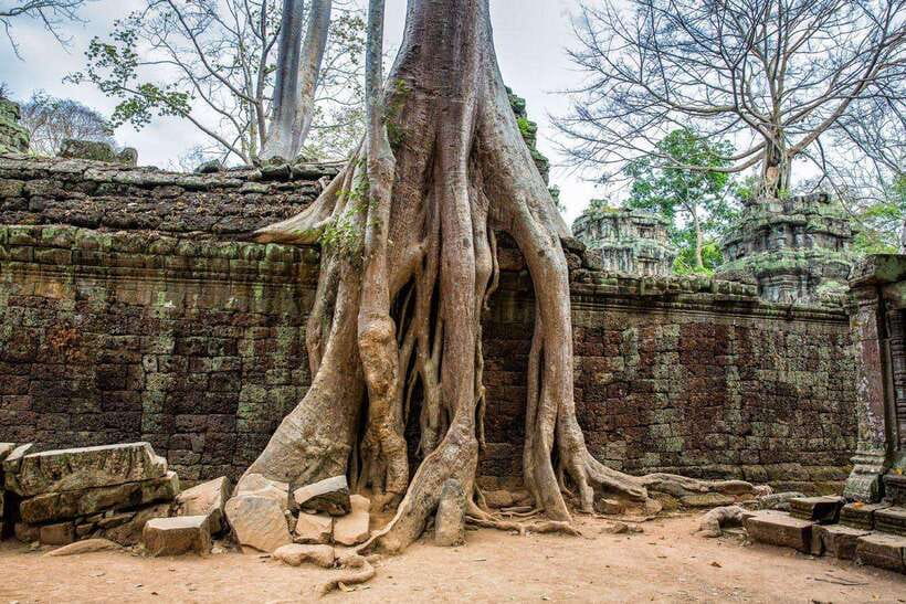 Angkor Wat Small Tour With Private Tuk Tuk - Banteay Kdei, a Calmer Final Temple