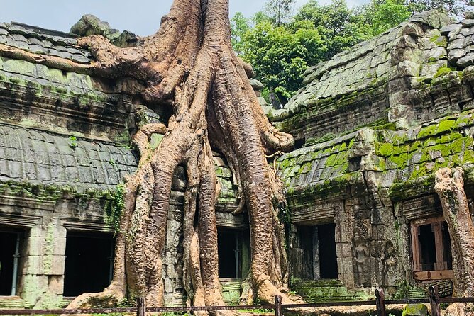 Angkor Wat Sunrise and Angkor Thom Sunset Tour - Transport, water, and the real price