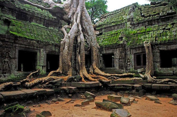 Angkor Wat Sunrise and Tonle Sap Lake 1.5 Days - Bayon and the heart of Angkor Thom
