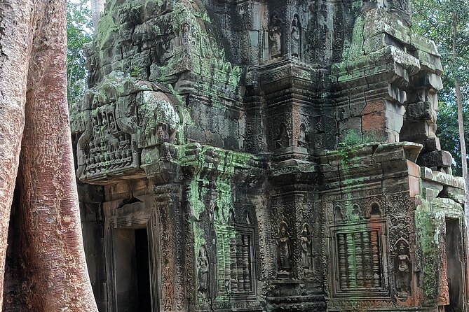 Angkor Wat Sunrise Experience – Ultimate 1-Day Guided Temple Tour - Transport, timing, and what the $24.03 covers