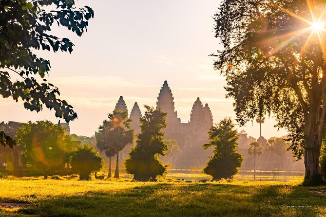 Angkor Wat Sunrise Guided Join-In Tour/Private Tour - Ta Prohm and the trees over the ruins