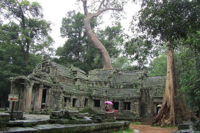 Angkor Wat Sunrise Guided Join-In Tour/Private Tour - Who will get the most from this tour