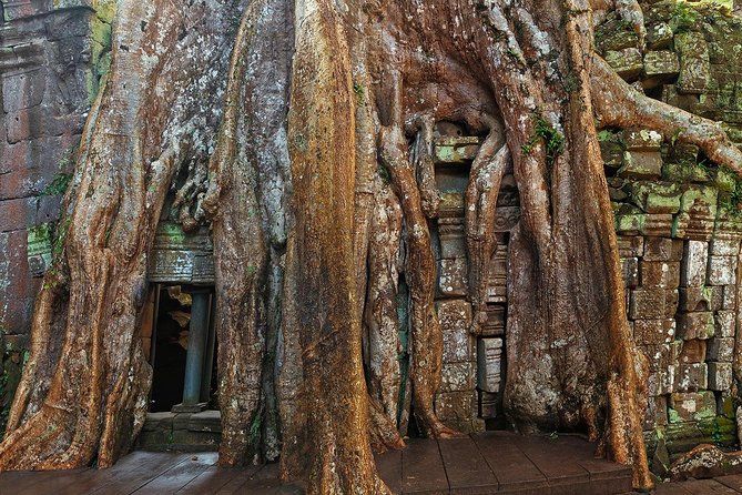 Angkor Wat Sunrise or Sunset Tour with Guide from Siem Reap - Cold water, cold towels, and the practical side