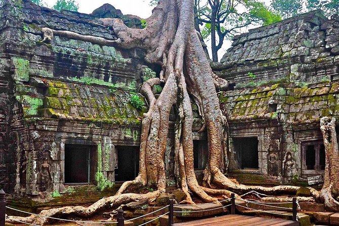 Angkor Wat: Sunrise or Sunset Tours with Tuk Tuk - Sunrise or sunset: choose the light you want