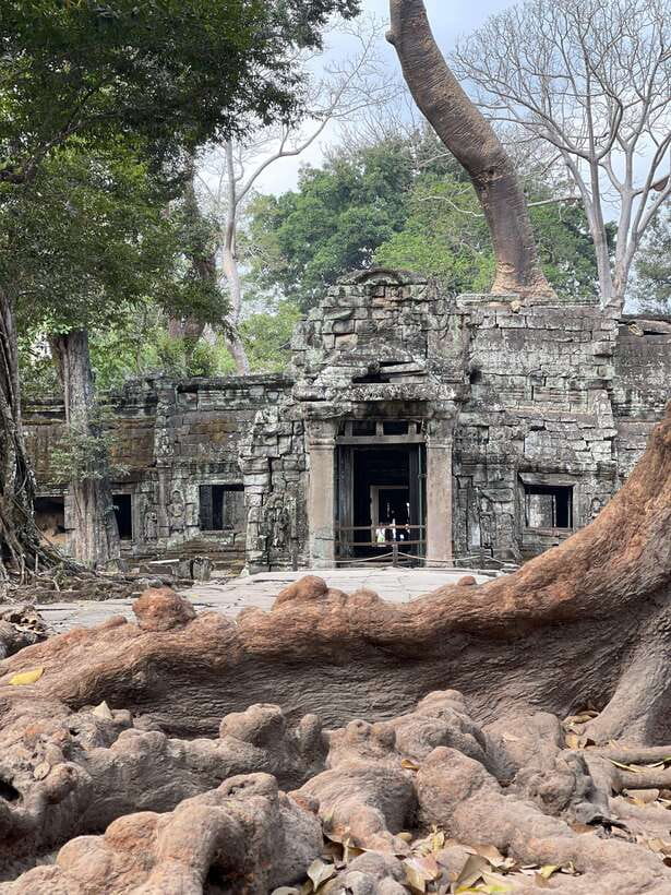Angkor Wat Sunrise Private Full Day Tour - The Elephant Terrace and Terrace of the Leper King
