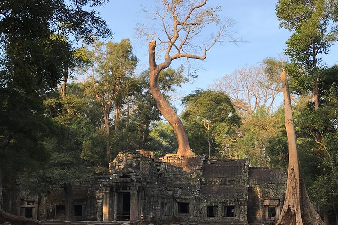 Angkor Wat Sunrise Private Tour by Vintage Jeep - Angkor Wat: more than a sunrise photograph