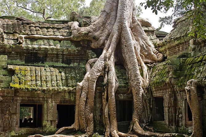 Angkor Wat Sunrise & Small Circuit Tour - Angkor Wat before dawn