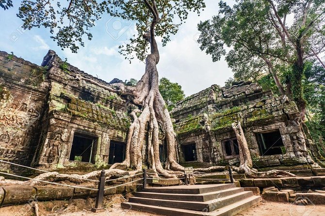Angkor Wat Sunrise tour with Small - Group and Guide tours - Ta Prohm and the jungle-covered ruins