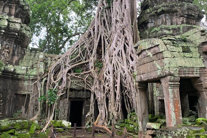 Angkor Wat Sunset TUK TUK Tour - What the private format changes