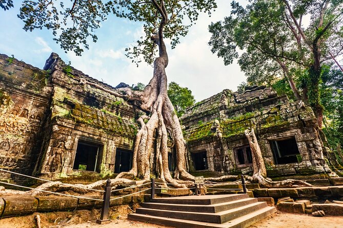 Angkor Wat, Ta Promh, Banteay Srei, Bayon temples Private Tour - Starting with Angkor Wat’s grand scale