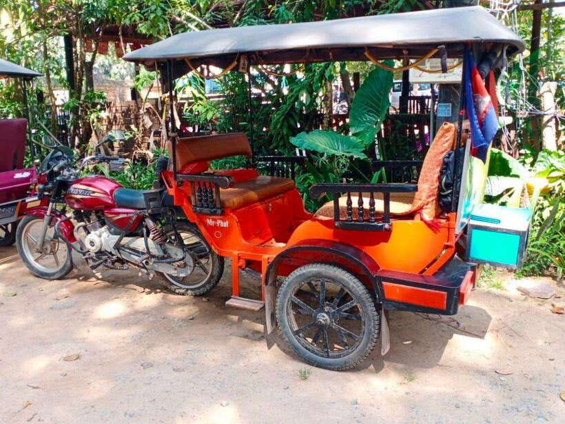 Angkor Wat Tour by Tuk-Tuk with English Speaking Driver - Ta Prohm and the famous tree roots