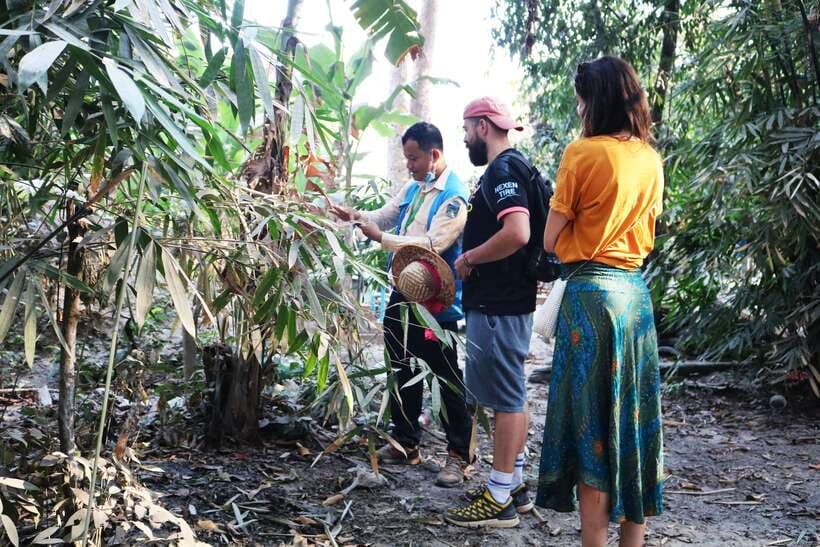 Angkor Wat: Tuk Tuk and Walking Tour - Key points to know before you book