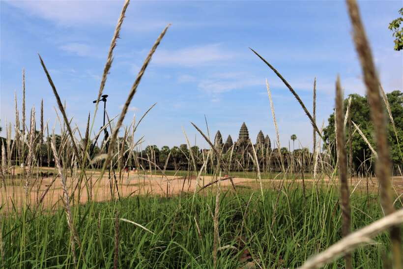 Angkor Wat: Tuk Tuk and Walking Tour - What you will learn beyond the stones
