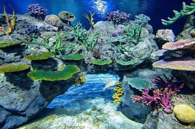 Angkor Wildlife & Aquarium Halfday tour - What the $29 Price Actually Covers