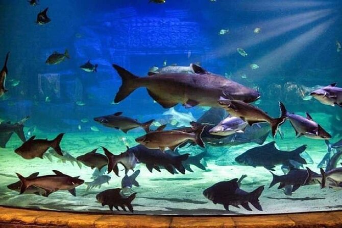 Angkor Wildlife & Aquarium Halfday tour - Who Should Book This Half-Day Visit?