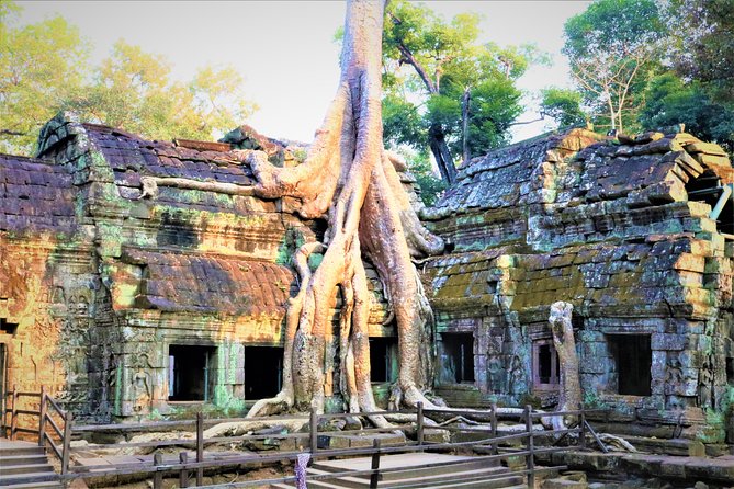 Angkor World Heritage with Sunrise - Small Group - Entering Angkor Thom through the South Gate