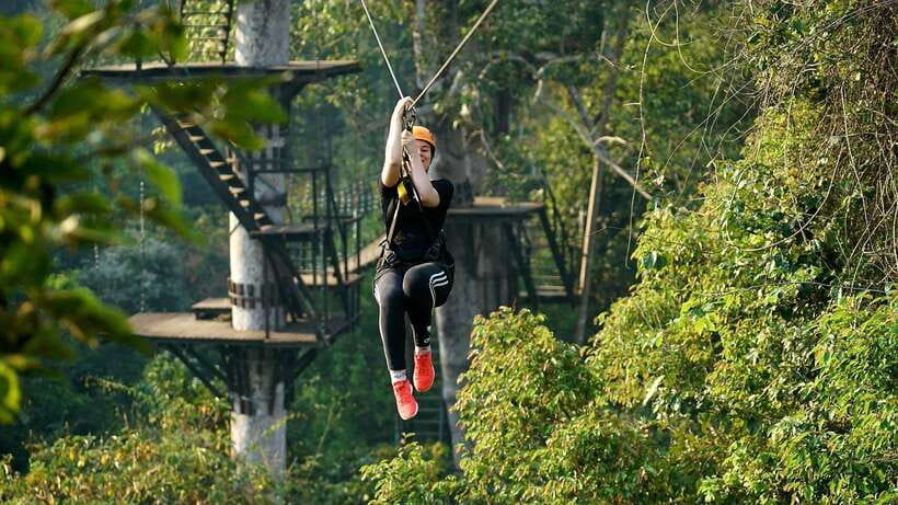 Angkor Zipline and Temple Tour with Sunset - Ta Prohm, where trees take the stage