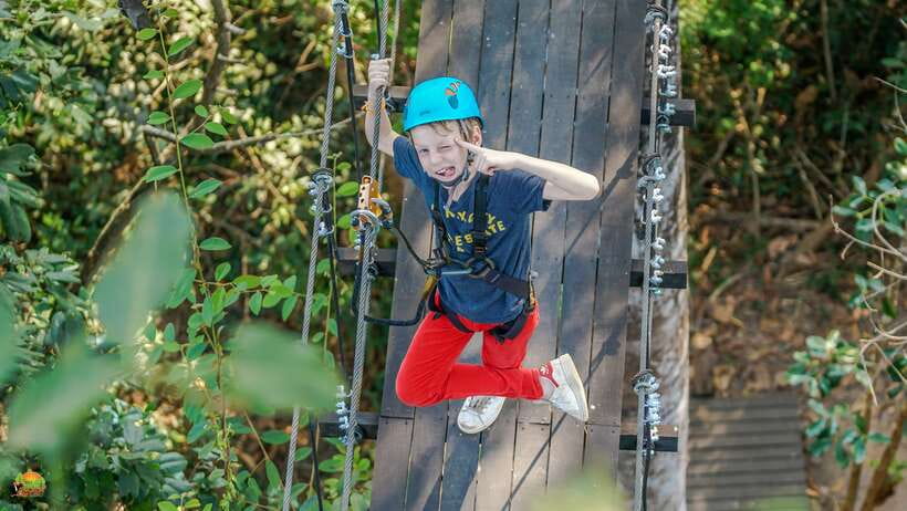 Angkor Zipline Eco-Adventure Canopy Tour - What the zip lines feel like in practice