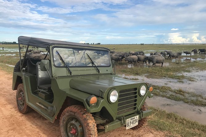 Authentic Cambodian Countryside Jeep Experience - Duck fields and family farming