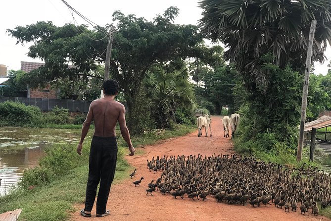 Authentic Cambodian Countryside Jeep Experience - Lotus Farm, where flowers carry cultural meaning