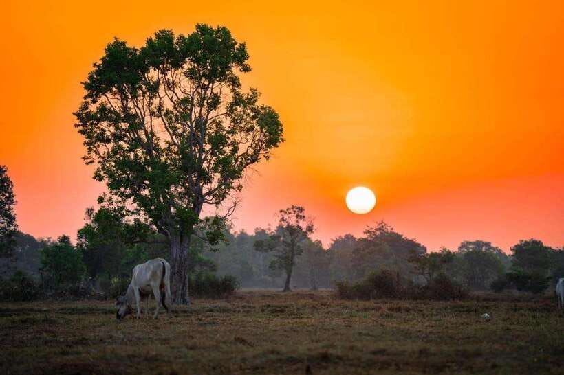 Authentic Siem Reap: Tuk Tuk Countryside and Sunset Tour - Why this Siem Reap tour is different