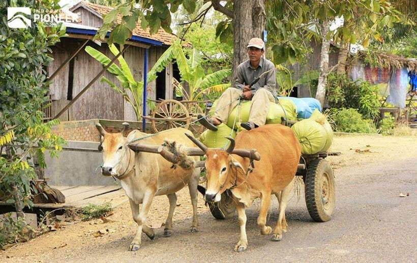 Back to Basics: Siem Reap Village Tour in Cambodia - Lake time, boat rides, and route changes