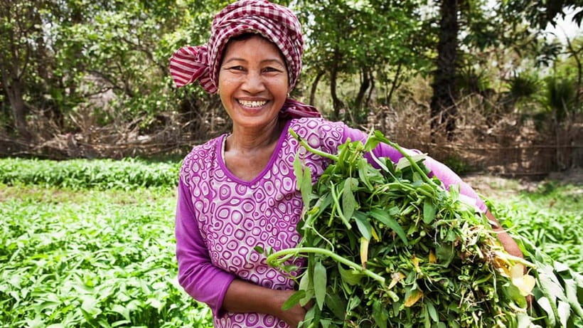 Back to Basics: Village Life Tour from Siem Reap - Key points to know before booking