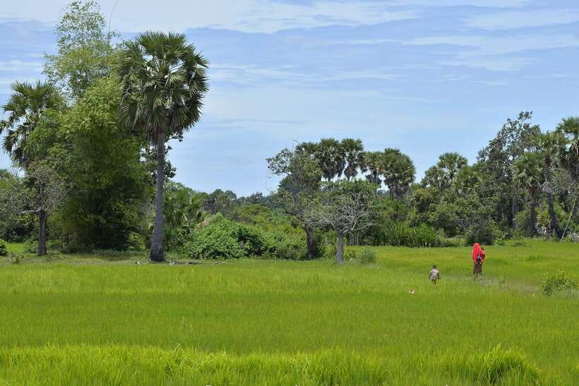 Back to Basics: Village Life Tour from Siem Reap - Why the local guide matters