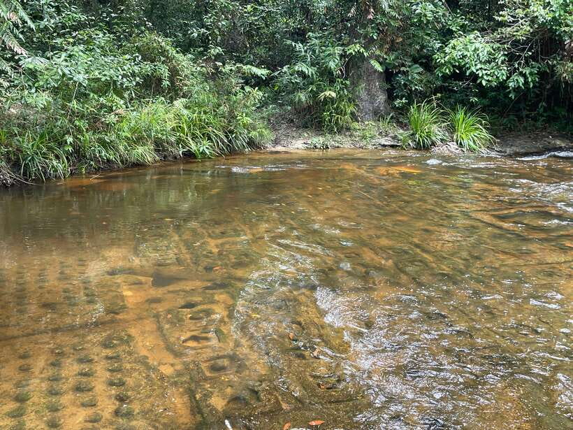 Banteay Srei, Kulen Waterfall & Beng Mealea Small-Group Tour - Preah Ang Thom and its great reclining Buddha
