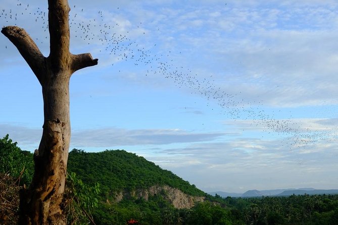 Battambang Full Day Tour from Siem Reap - Bamboo Train, Killing Cave & Sunset - Is $132.31 good value?
