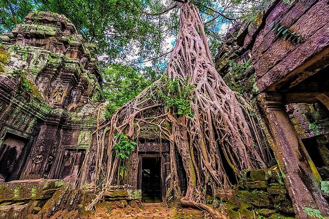 Cambodia 7 Days Tour from Siem Reap to Battambang and Phnom Penh - From Battambang to Udong and Phnom Penh