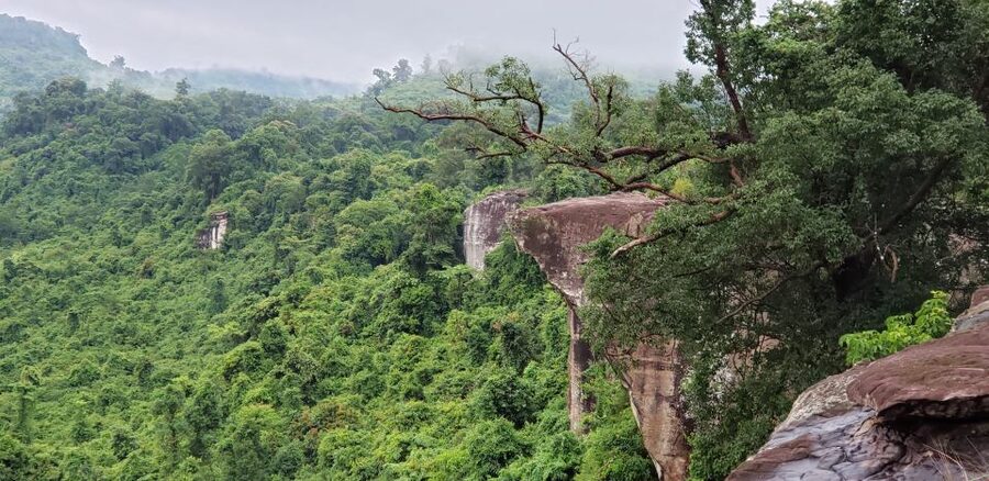 Cambodia Elephants Haft Day Experiences from Siem Reap - The viewpoint and the ride back