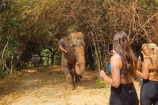 Cambodia Elephants Haft Day Experiences from Siem Reap - The ride from Siem Reap to the sanctuary
