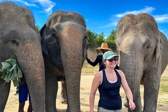 Cambodia Elephants Haft Day Experiences from Siem Reap - The 40-minute ride from Siem Reap
