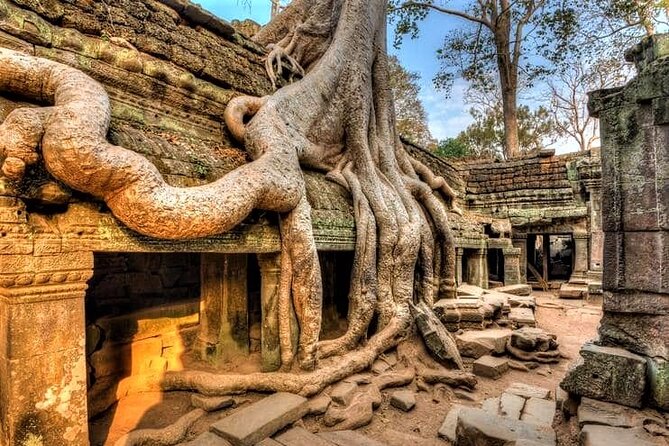 Cambodia Highlight 6 Days Tour from Siem Reap to Phnom Penh - Guides, drivers, and the value of private travel