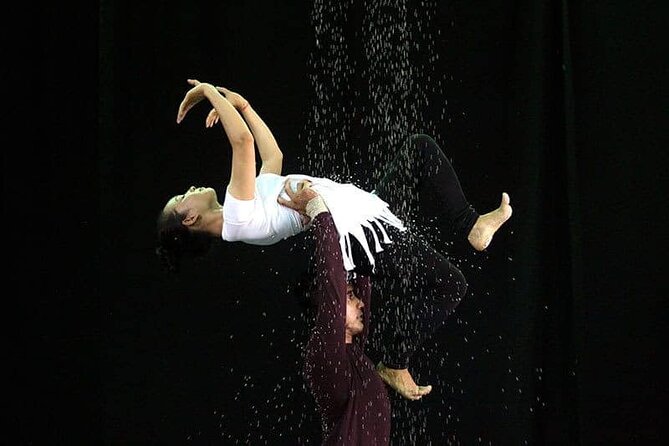 Cambodian Circus Show in Siem Reap by Phare with Hotel Pick-Up - Inside the one-hour Phare performance
