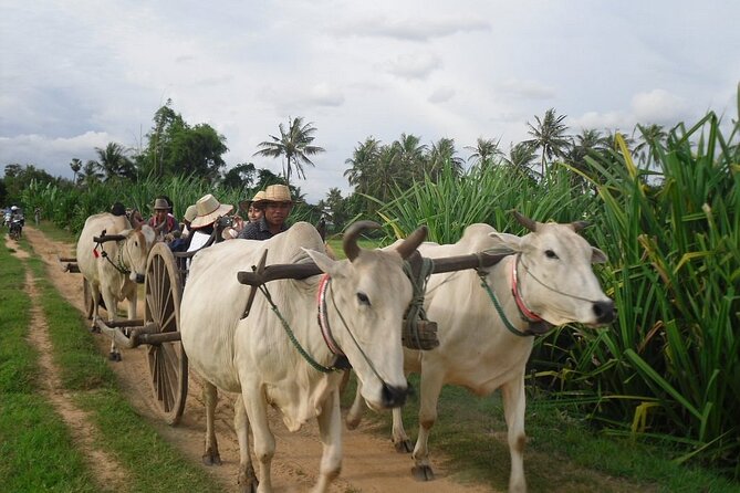 Cambodian Cooking Class and Oxcart Ride with Local Village Tour - Cooking three dishes in a family home