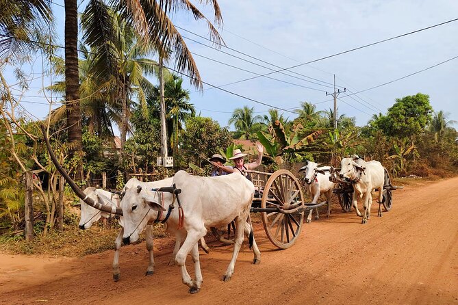 Cambodian Cooking Class and Oxcart Ride with Local Village Tour - Is $94.05 a fair price?