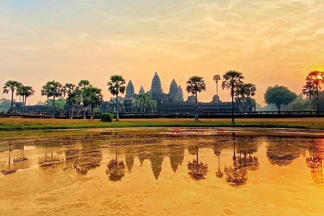 Classic Angkor Wat Sunrise Full Day Private Guide Tour - Quiet Ta Nei in the forest