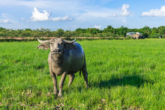 Countryside Sunset Jeep Tour with Drinks included - Is this Siem Reap jeep tour worth booking?